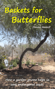 Cover_051114
