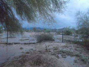 Flood looking east