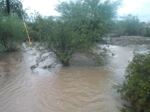Flood following creek west