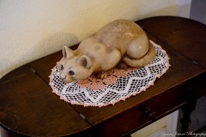 57 cat-1-L