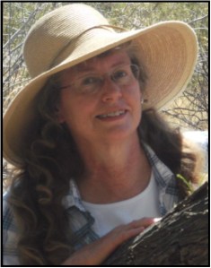 Donna Hamill, author