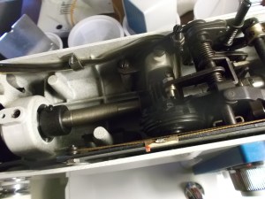 Getting a good cleaning_1