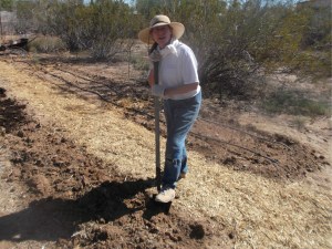 Me and My Shovel