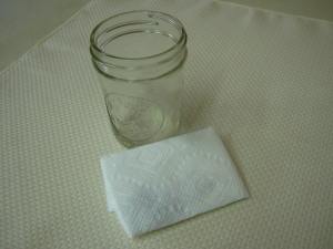 Pre-germination (paper packet)