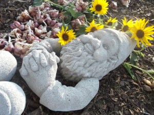 My garden buddy